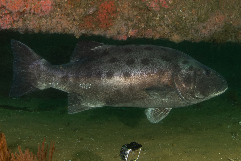 6d6b0a36-cff4-4ea7-ae21-bc78af9380b2