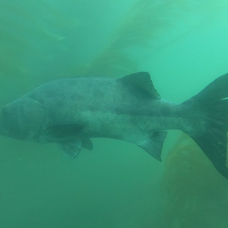 44649bef-3c8a-447b-908b-b9ec9ecbc441