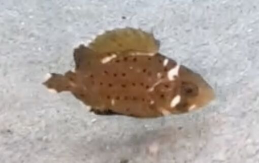 3c5ff052-1d5e-415e-8086-7588076e8c3b