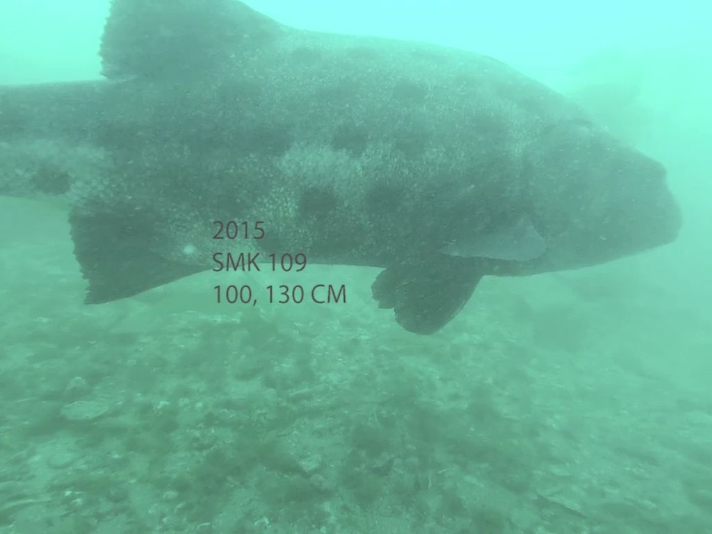 a90b6832-5f6a-4ae9-af23-13b5a9fdc082