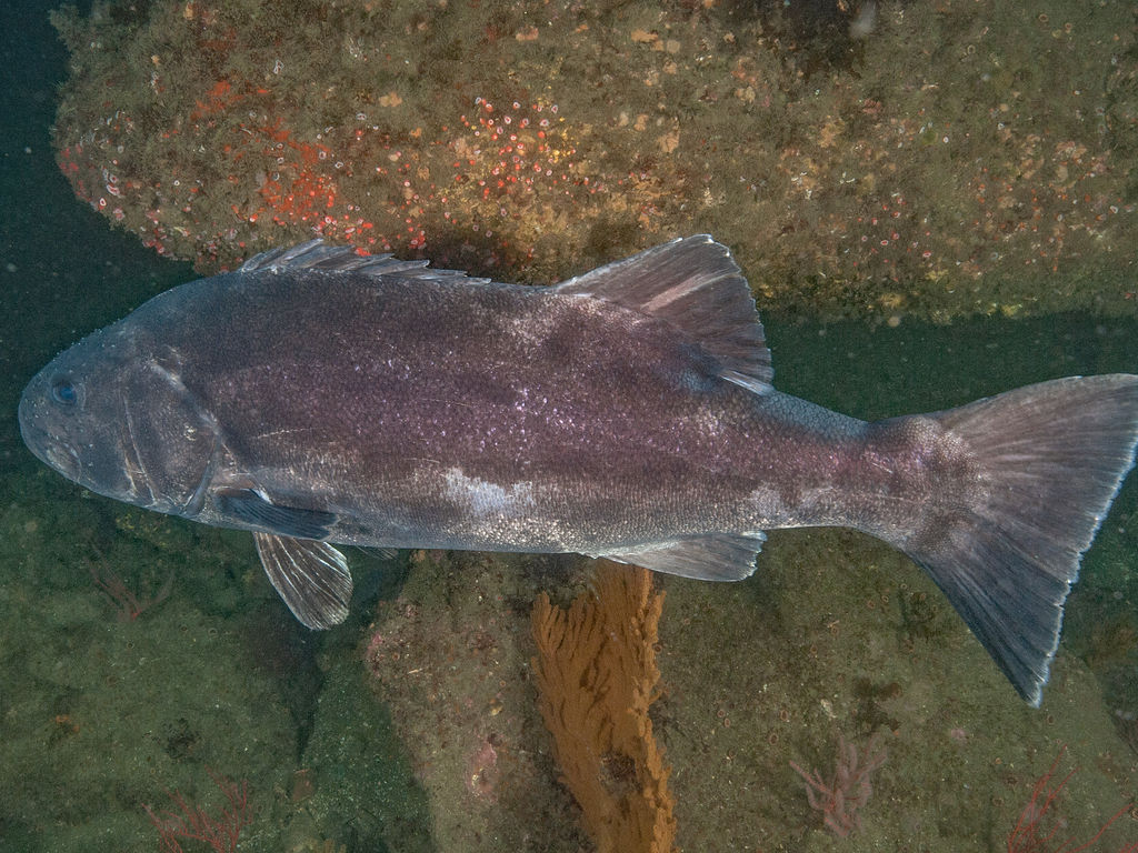 a0fa01f1-d791-465d-b6d5-5954c85c6143