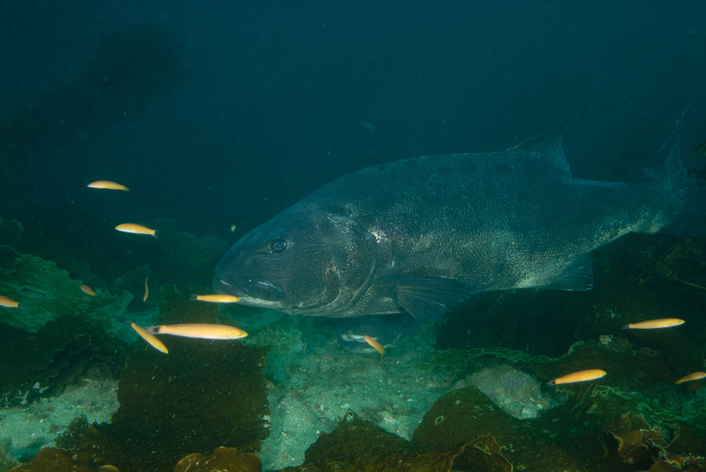 596ead64-39b5-41d7-8d6c-bbf347504036