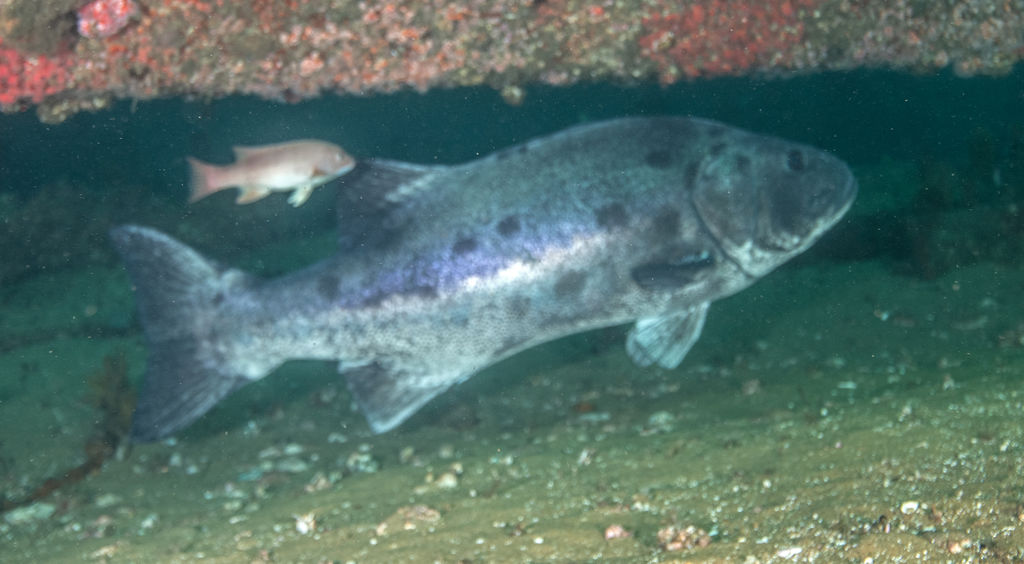 ba28c90a-4a59-4b04-9fda-61020e9dd244