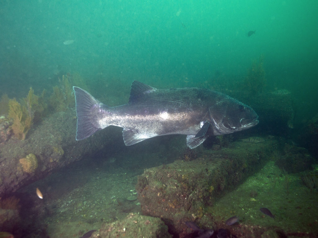 cc48e724-87df-4575-bdd4-dbc9d7f61076