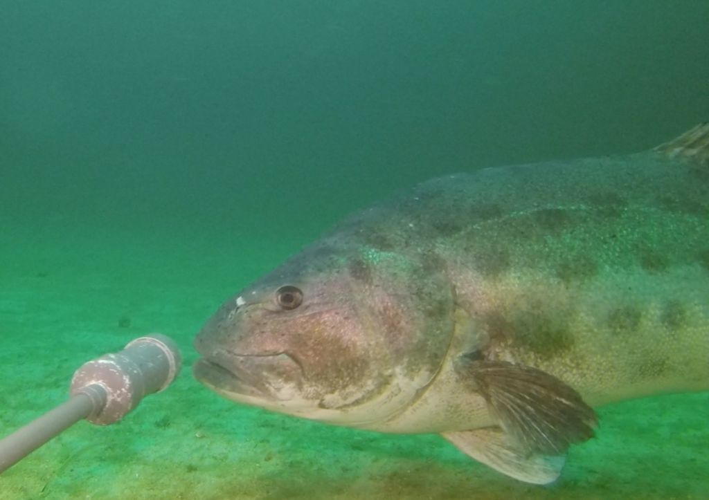 1b5dee8b-ef0d-4337-98af-6dc5ce751bc1