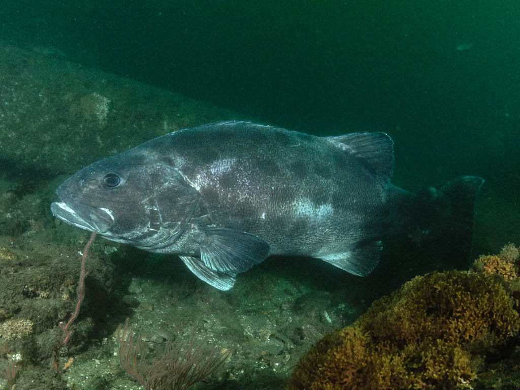 cdd1b46f-152b-49ab-8fd1-bb74dde8b2fc