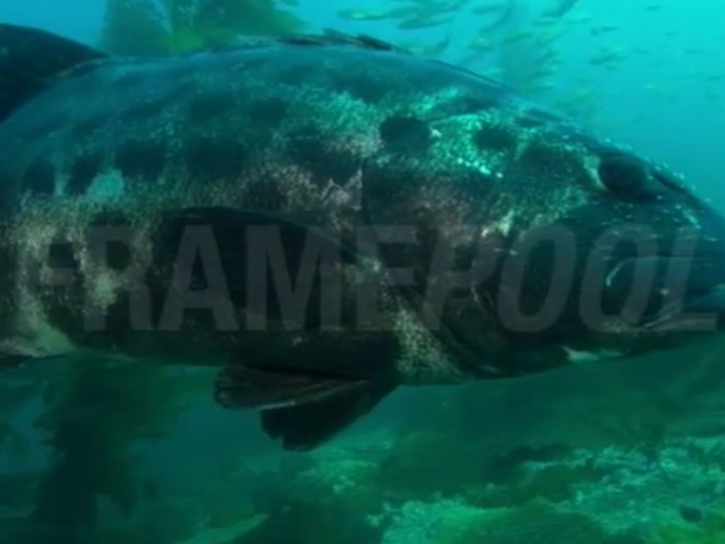 5c7a418b-2b3f-4c38-8bae-e0ca5f9270a3