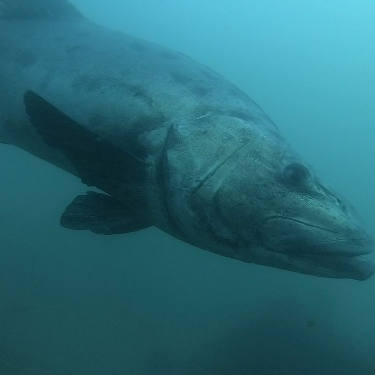 2c7ecab0-0eb3-4d4d-97ff-d574261487da