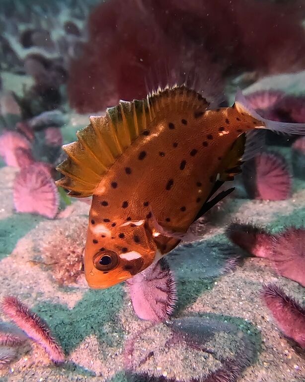 f30cc4e3-147c-4cfb-907b-80d3ac5f3fe3