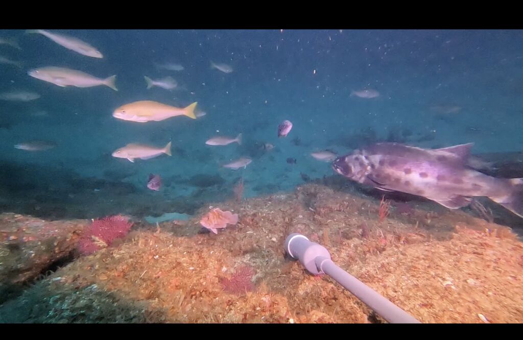 9f7c4245-8a42-4235-aa5e-ab35e2c3b6f2