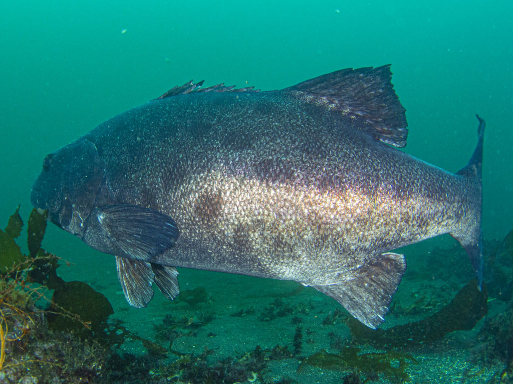 fbbf0750-4f91-497b-a6d4-955ddef31fa1