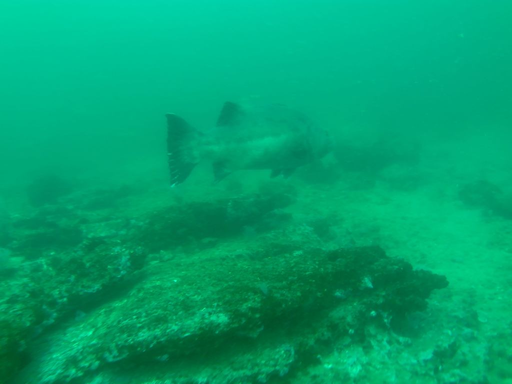 05aea7da-4f32-4016-b52f-f44f015c4bb2