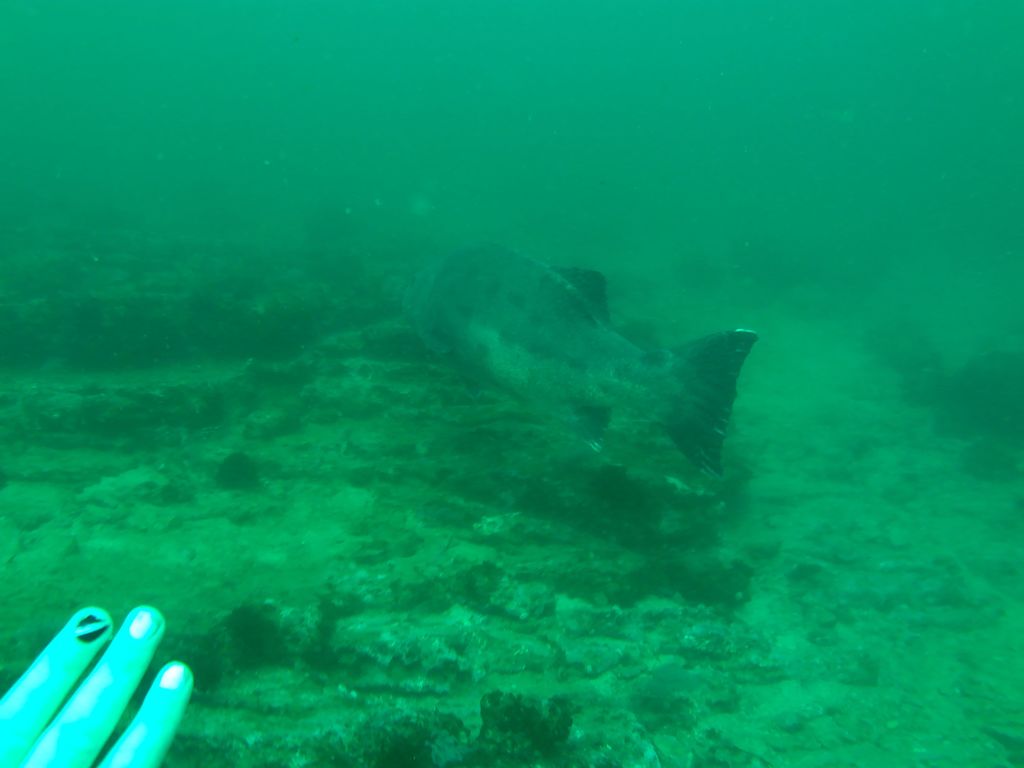 05aea7da-4f32-4016-b52f-f44f015c4bb2