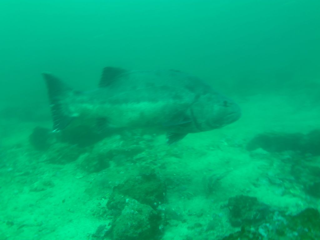 05aea7da-4f32-4016-b52f-f44f015c4bb2