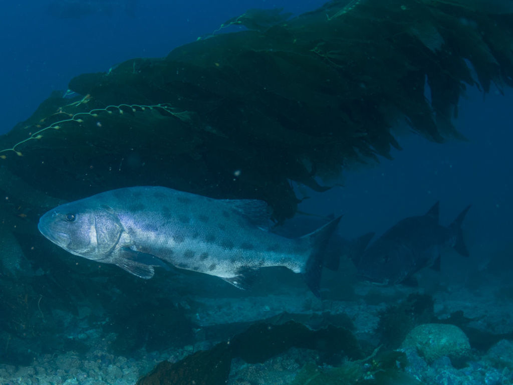 469e44f0-ea60-45c2-ad96-f90545b6a217