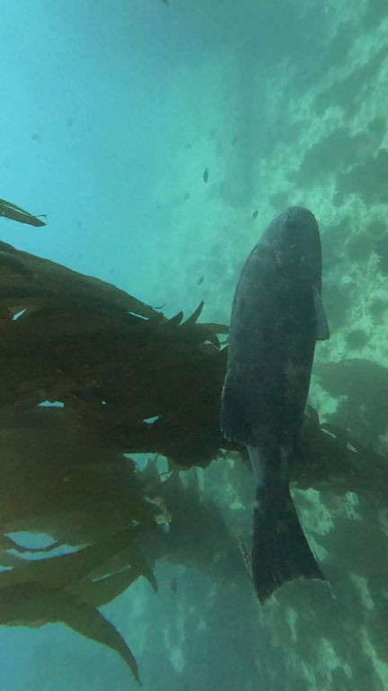 8ab395ed-bacd-4599-aad9-7bb4e2652e26