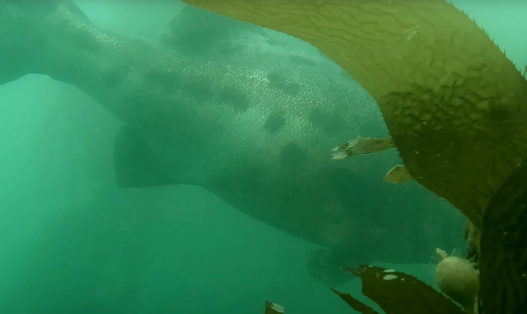 1c7c0629-db1e-41e0-addc-b020861a0ab0