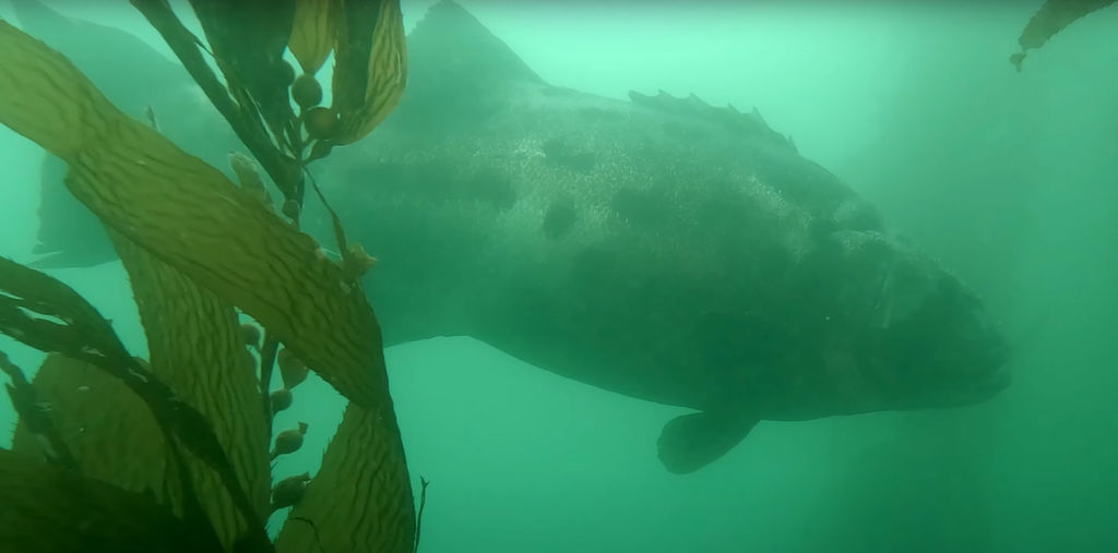 1c7c0629-db1e-41e0-addc-b020861a0ab0