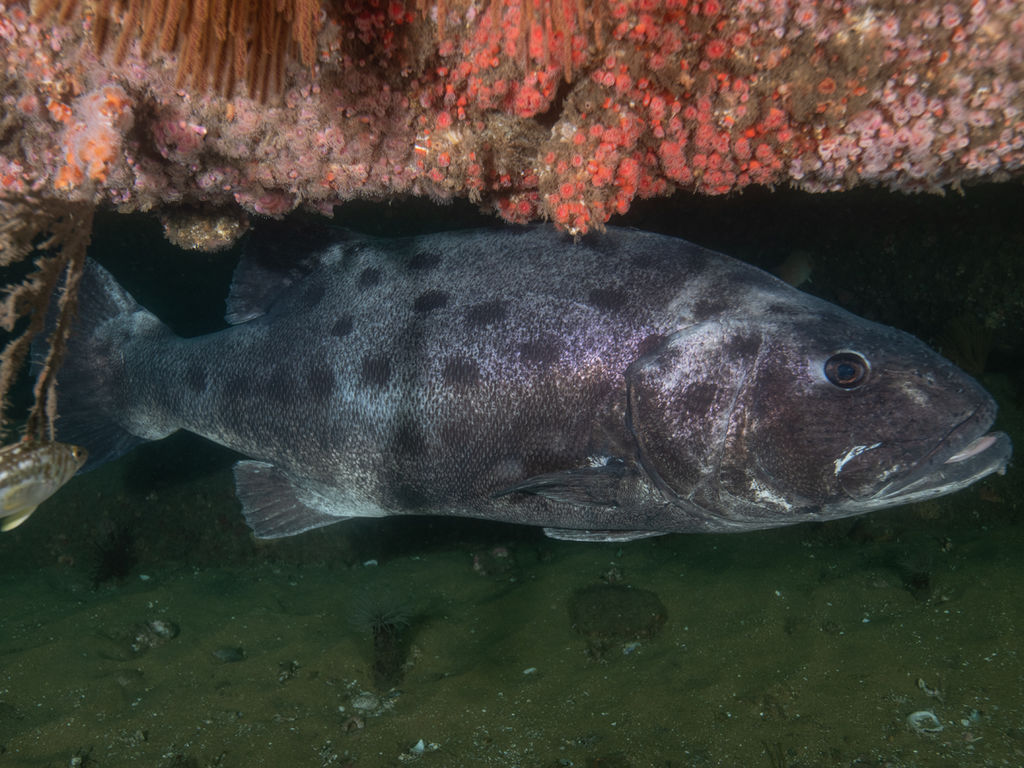 d5898b7b-32c9-45cc-9a3c-35ae469ea2b9