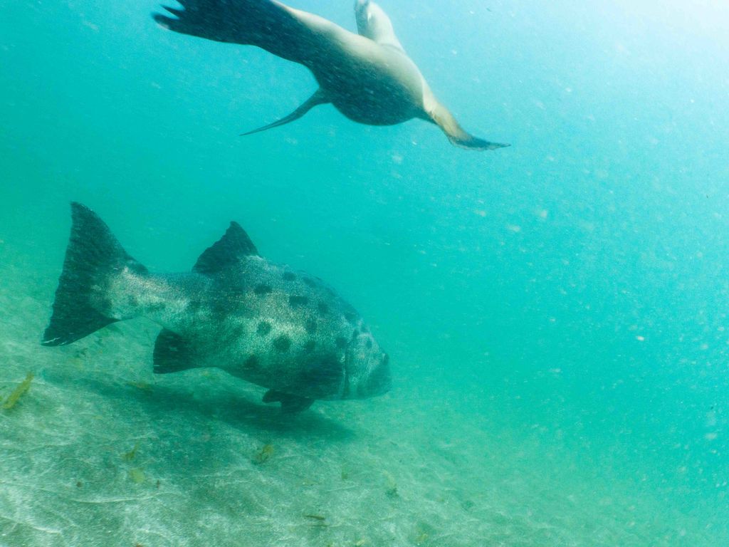 c4229ecf-8dff-42ad-8607-33fc7344fb47