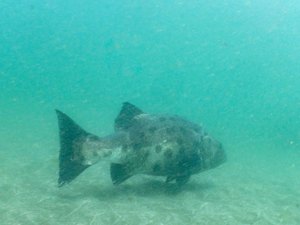 c4229ecf-8dff-42ad-8607-33fc7344fb47