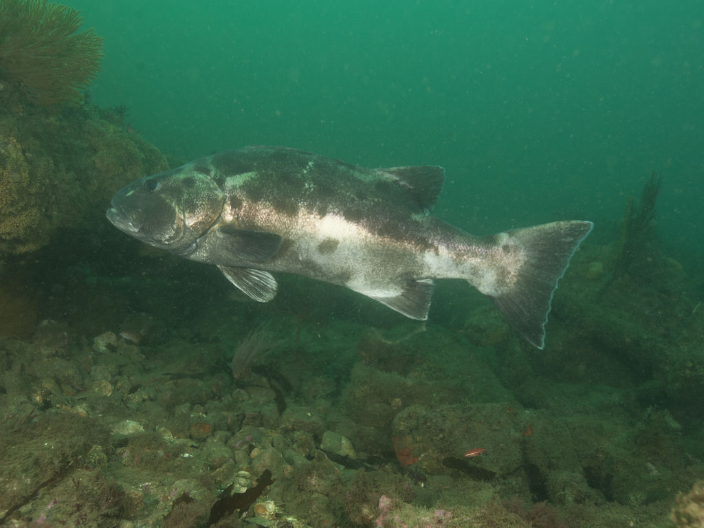 bdb72295-856a-4672-9757-64585374a2c3