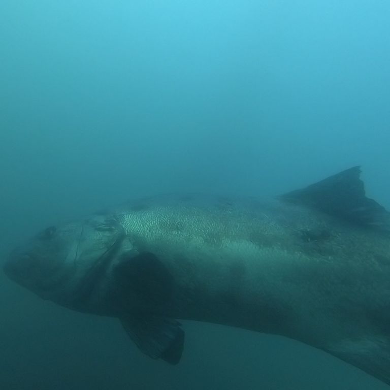 2c7ecab0-0eb3-4d4d-97ff-d574261487da