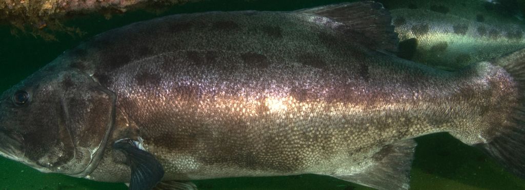 e3b2d5b6-ab7c-45bf-aac7-19868b175585