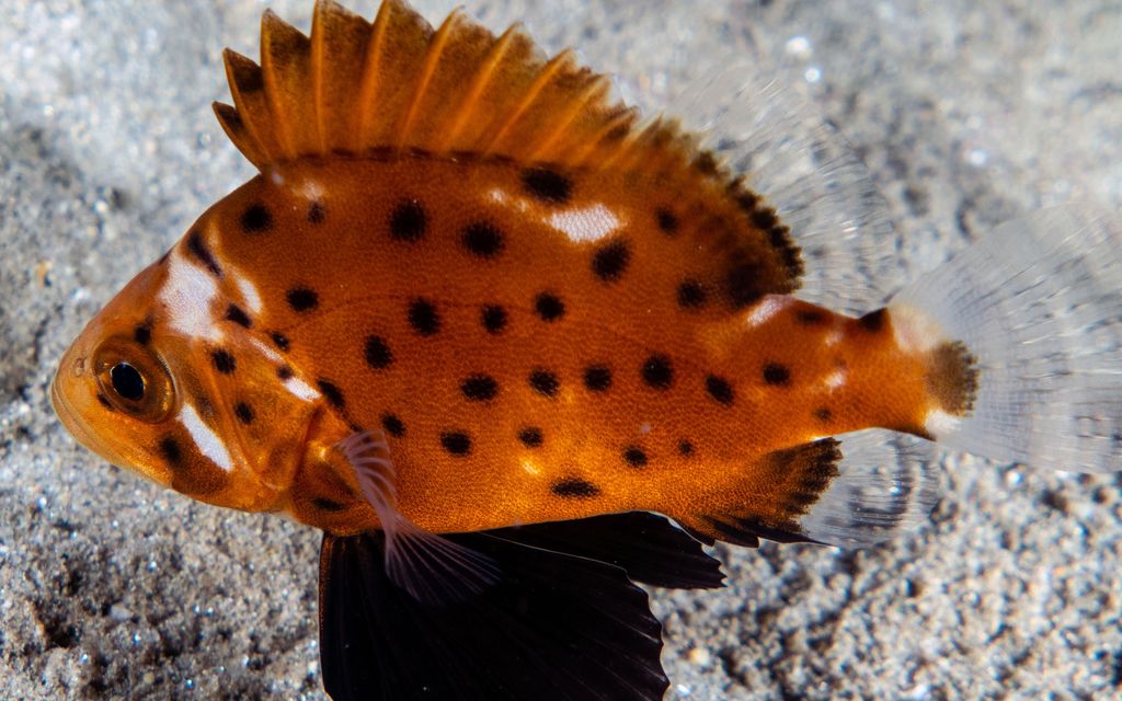 a9f129fa-dd8e-442f-9646-b97a991aa521