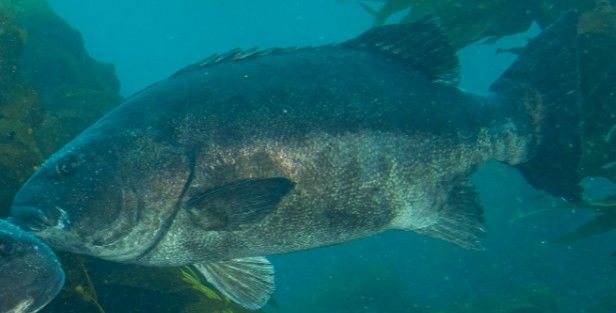 1e334e46-b8d7-4cc9-b674-37ba6de4531d