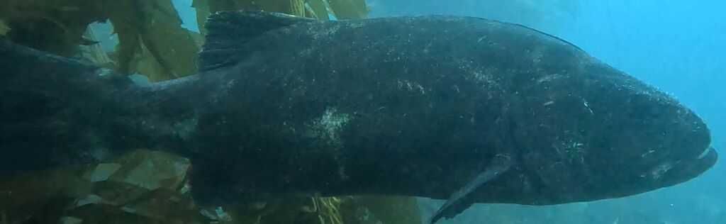 8ab395ed-bacd-4599-aad9-7bb4e2652e26