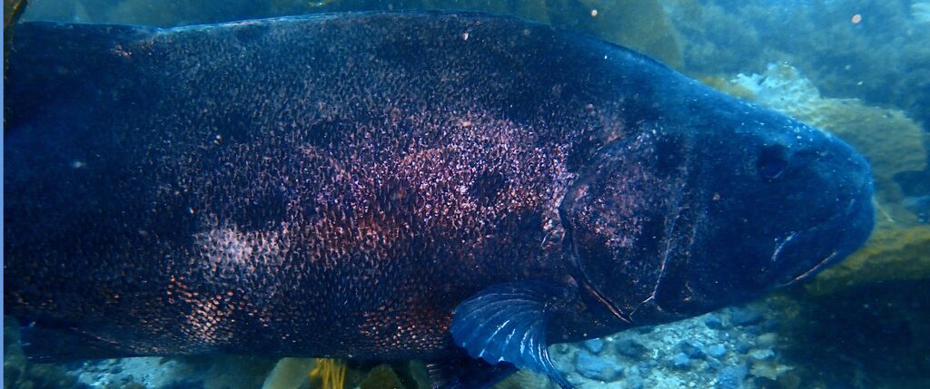 9ce2862f-58e6-4367-9809-73723278bf52