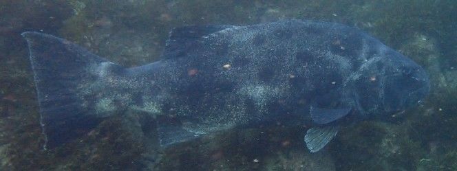 511c3f14-5fc7-4efa-a4a8-efe7ffcf4dcb