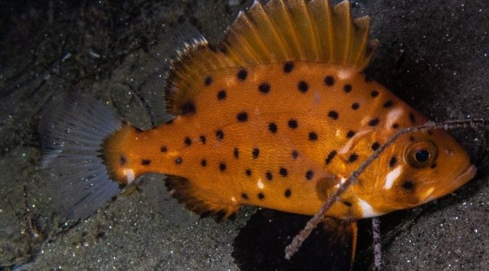 bfa714bd-9a93-49ef-83d9-6ef900bafd9d