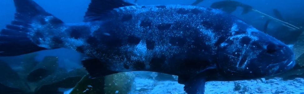 9c854830-ede1-4e1d-b3f7-c884b6c40a13