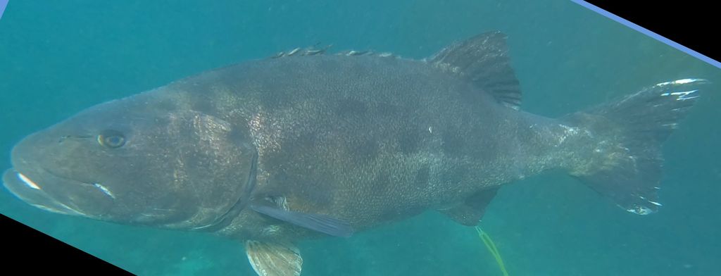 dae82506-d762-461e-b5e2-6e01f667ebe5