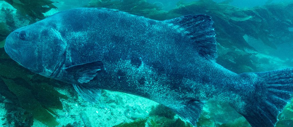 1a5da8bd-7543-47bc-9249-50dbdb7d3dd8