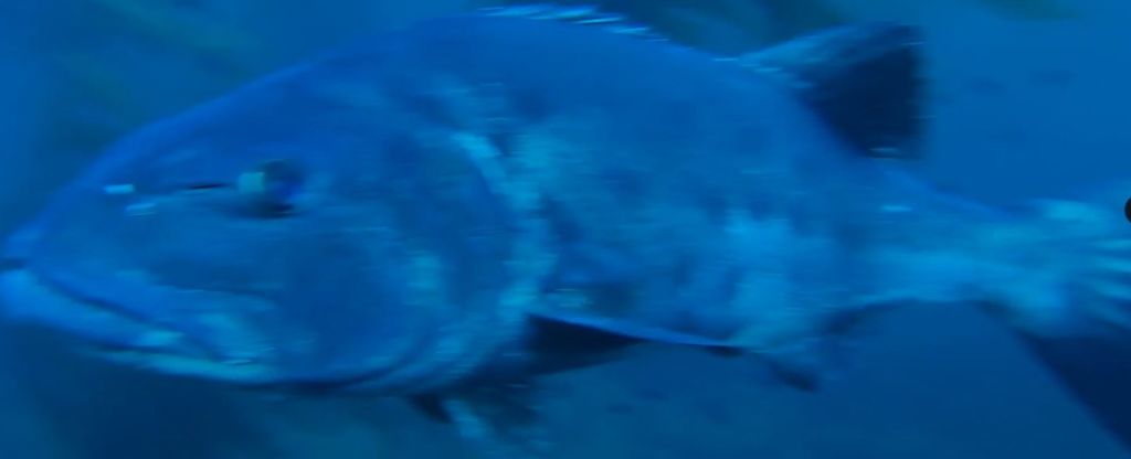 d888dfa3-e310-4432-b9cf-75a90b04fff7