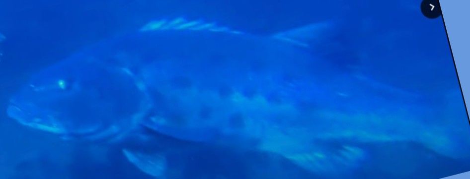 d888dfa3-e310-4432-b9cf-75a90b04fff7