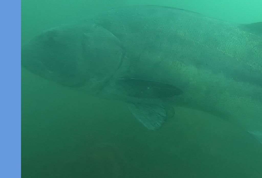 8ecc93d2-df1d-4676-9e4c-879ec550ead9