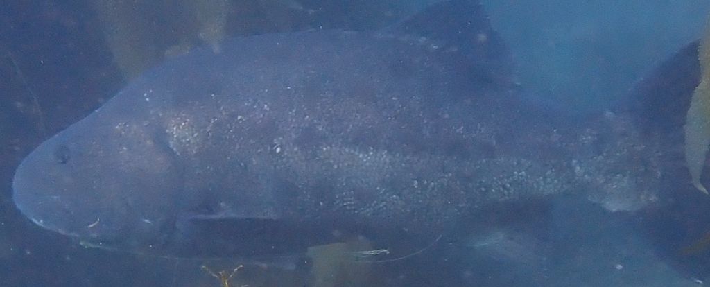 cd3602ed-0bf9-4443-9470-8e3873b729ce