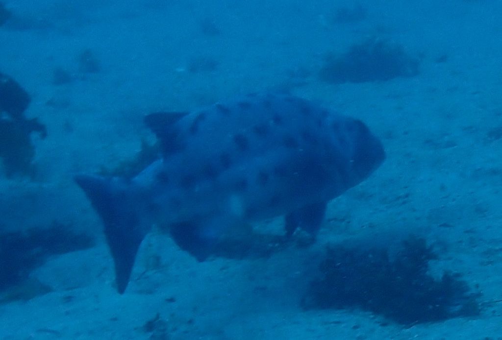 49b3516f-9666-4e30-b758-907c5d8087b7