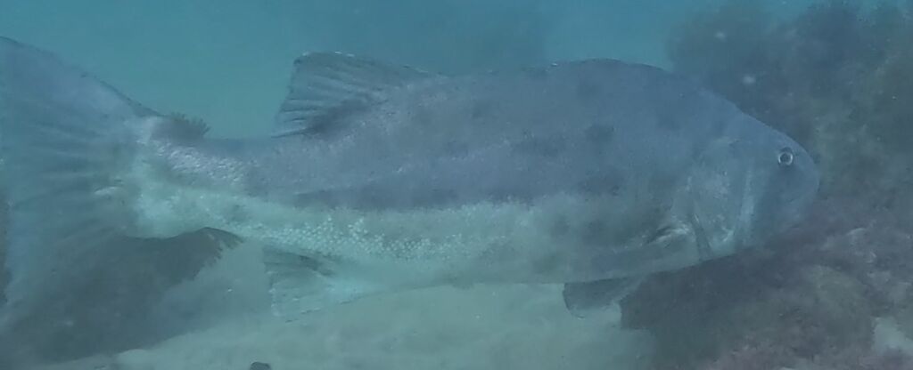 618f0f3e-a0a3-4c2a-a5c5-a86264ab1068