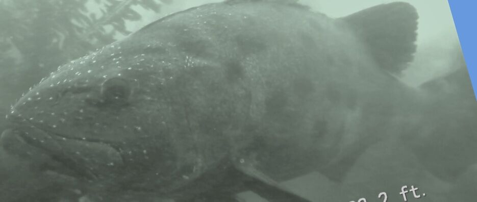 b03ac7b1-ee50-4724-a50a-3949a0766afb