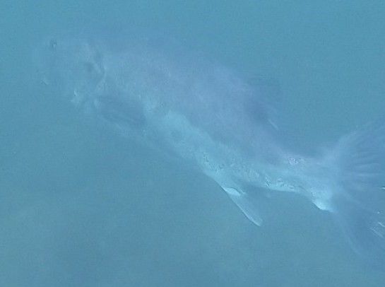 f61e8ea9-2826-44f2-84b7-240475477430