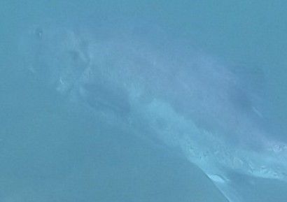 f61e8ea9-2826-44f2-84b7-240475477430