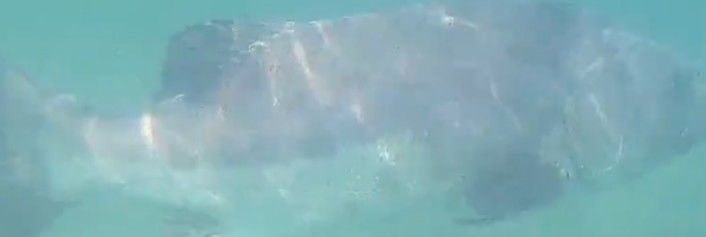 ce0a19bf-4a4b-4720-93b4-0ebf9f52ceab