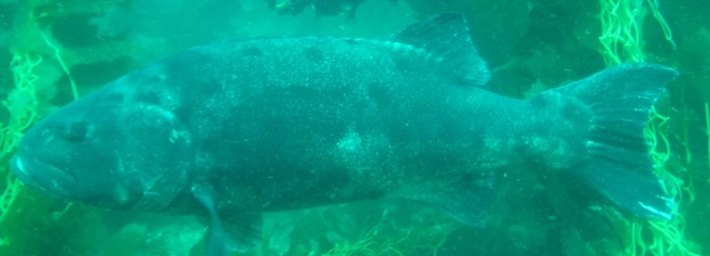 c0a64070-f155-4b32-bf0e-1681f476d409