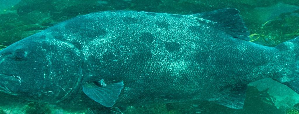 7fdf76f5-8f47-4fd3-b6f1-9e4c29e72abc