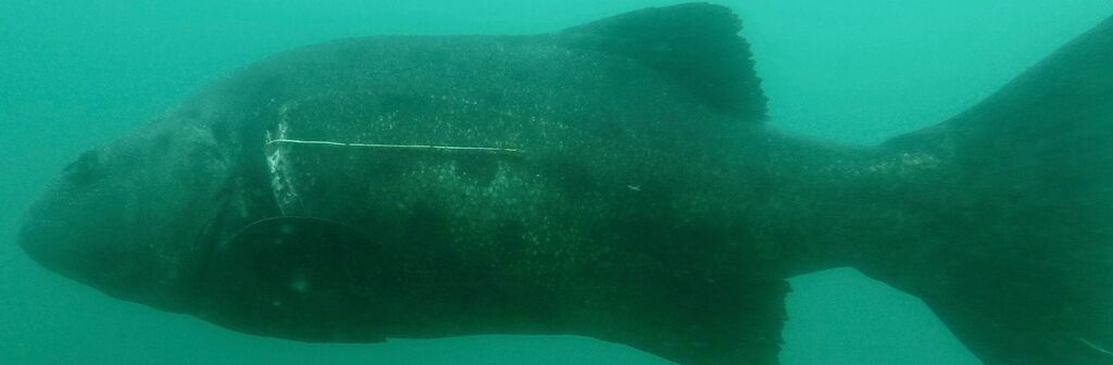 1a5da8bd-7543-47bc-9249-50dbdb7d3dd8